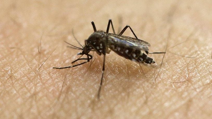 Since 2015, there have been a total of seven “positive mosquito pools” identified in Warren County,