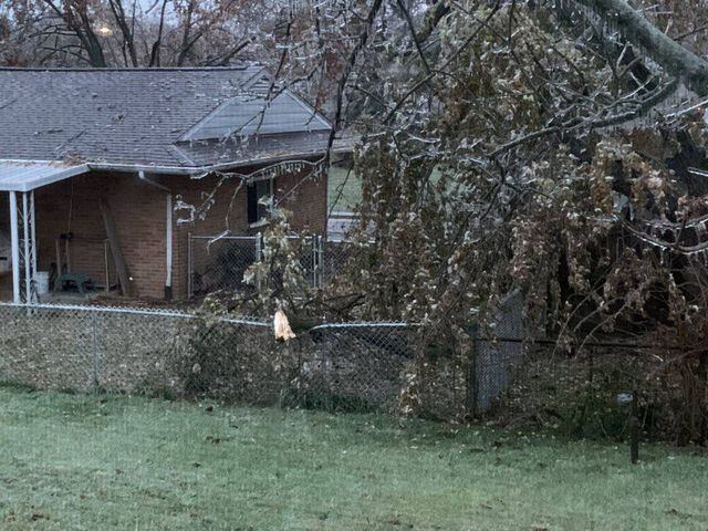 Ice causes trees down, other damage