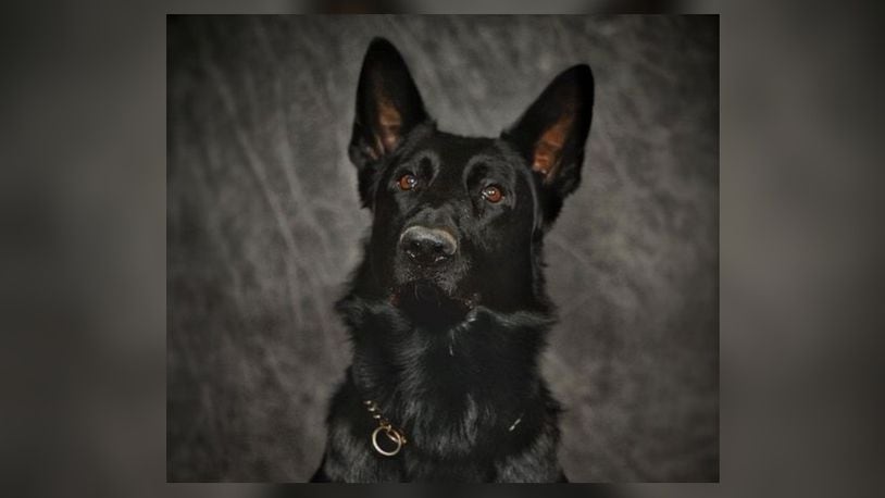 Franklin Police Division K9 Fury was killed in a crash Saturday, Nov. 11, 2023. Two officers also were injured in the wrong-way crash for which a Kentucky man was charged. CONTRIBUTED/FRANKLIN POLICE DIVISION