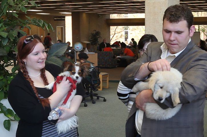 Puppy Therapy for WSU Students