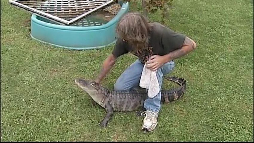 Burgettstown pet alligator
