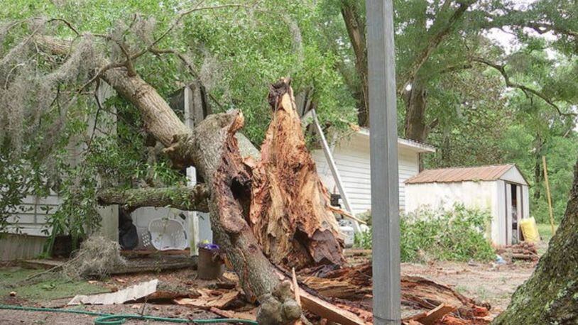 A 9-month-old baby suffered minor injuries when an oak tree fell on her home.