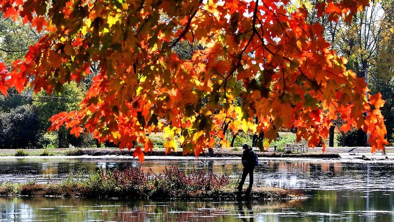 The fall leaves, backlit by the afternoon sun, glow red and yellow while a man in the background tries the fishing at Old Reid Park. BILL LACKEY/STAFF