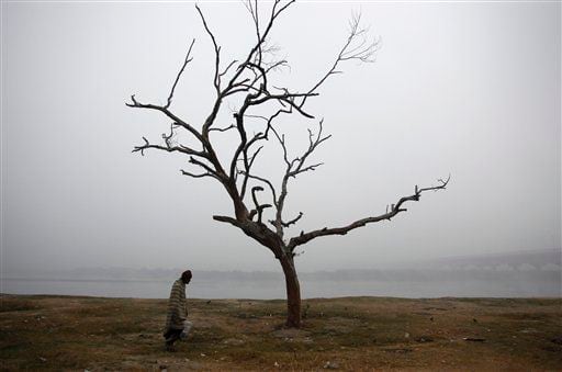 An Indian man walks near a tree on the banks of the river Yamuna on a cold and foggy morning in New Delhi, India.
