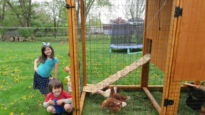 The McBride family is trying to change a city ordinance in Huber Heights that prohibits them from keeping their chicken coop. CONTRIBUTED/SARAH MCBRIDE