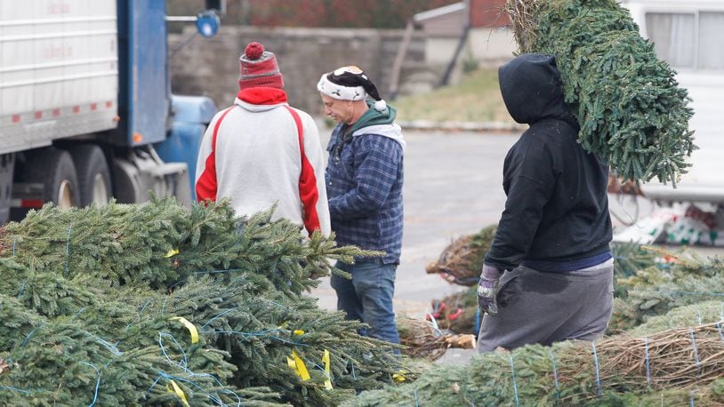 Bob Stone, center, owner of Joe’s Pines, takes delivery of Christmas trees on Friday. The seasonal company has moved about a mile and a half south from its longtime location at the old fairgrounds on South Main Street in Dayton to the parking lot of the former Neil’s Heritage House Restaurant on West Schantz Avenue. CHRIS STEWART / STAFF