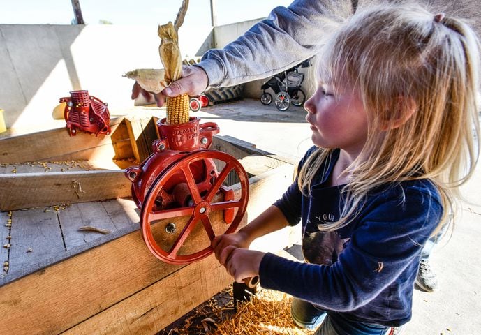 Jackson Family Farm offers visitors a chance to learn about farm life
