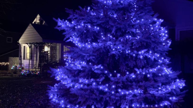 John J. Stanton's blue spruce is decked out for the holidays.