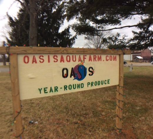 Oasis Aqua Farm