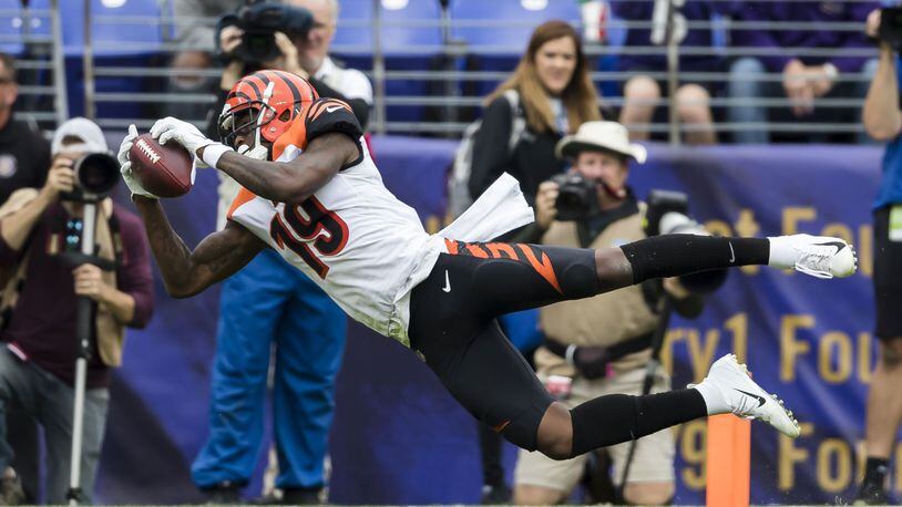 BALTIMORE, MD - OCTOBER 13: Auden Tate #19 of the Cincinnati Bengals makes a diving catch against the Baltimore Ravens during the first half at M&T Bank Stadium on October 13, 2019 in Baltimore, Maryland. (Photo by Scott Taetsch/Getty Images)