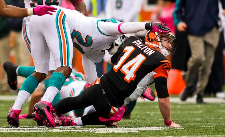 Game 5: Bengals vs. Dolphins