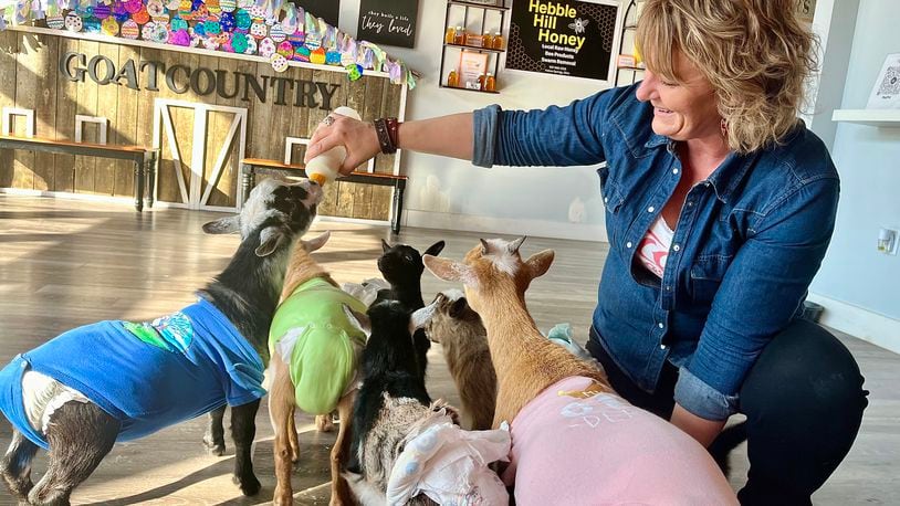 GoatCountry, located at The Greene in Beavercreek near Von Maur, offers goat cuddles, yoga and more. Pictured is Cassie Keeton. NATALIE JONES/STAFF