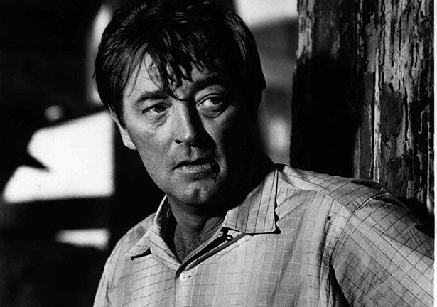 Robert Mitchum played Max Cady in the 1962 film "Cape Fear"...