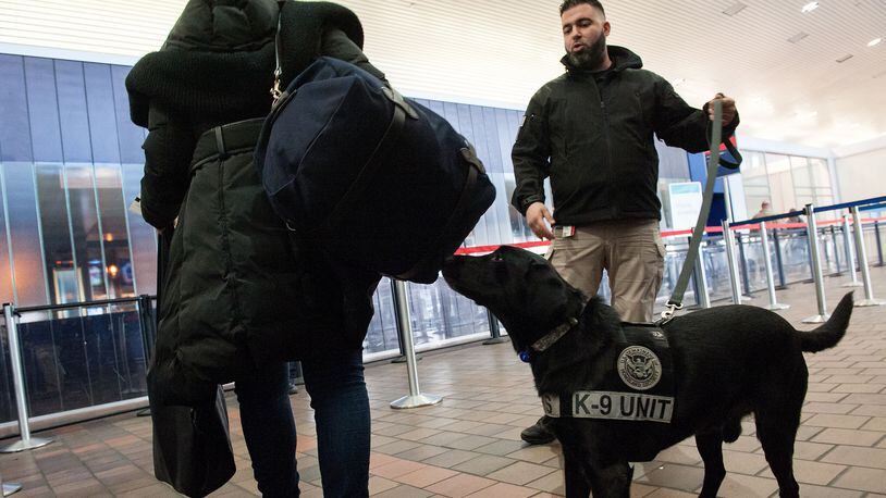 Transportation Security Administration K9 handler Tommy Karathomas and his explosive detection dog Buddy perform a demonstration at LaGuardia Airport on January 20, 2016 in the Queens Borough of New York City.