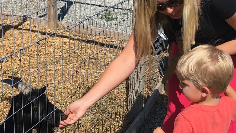 Kristine Farrell and her two and a half-year-old son pet a goat during an event at Hidden Valley Orchards in Lebanon. STAFF PHOTO/HOLLY SHIVELY