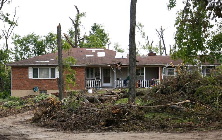 PHOTOS: Broken and downed trees another reminder of tornadoes