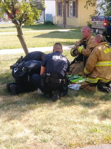 Fire crews save kittens in Moraine