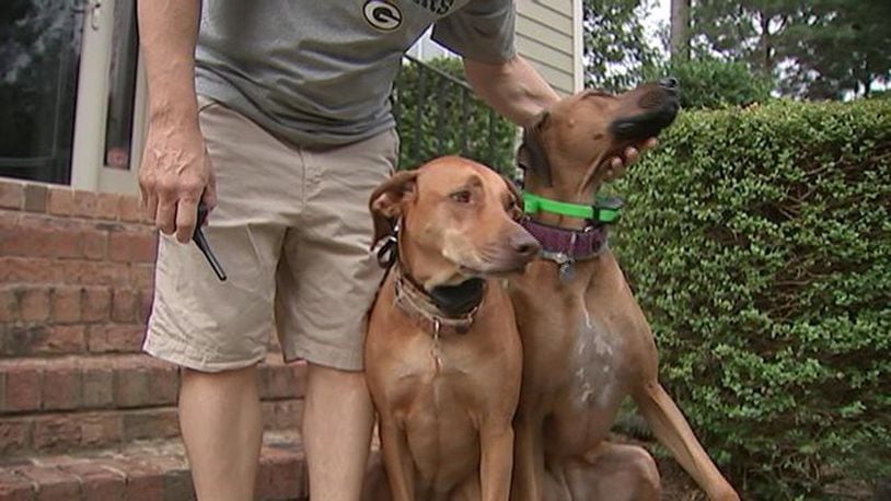 A man was running with his dogs Saturday when they were attacked by a coyote. (Photo: WSOCTV.com)
