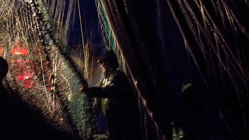 Water drips down on a fisherman as he pulls in a net on a fishing boat.