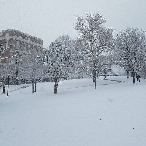 UD's Campus Snow Scenes