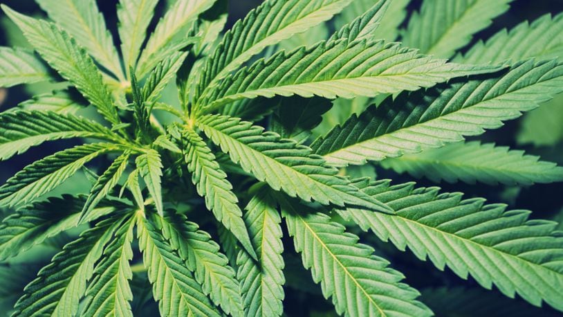 Ohio legalized marijuana for medical use in 2016.