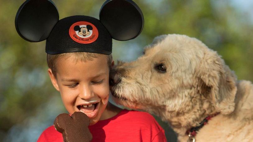Beginning Sunday, Oct. 15, 2017, Walt Disney World Resort will welcome guests and their canine companions to four resort hotels.