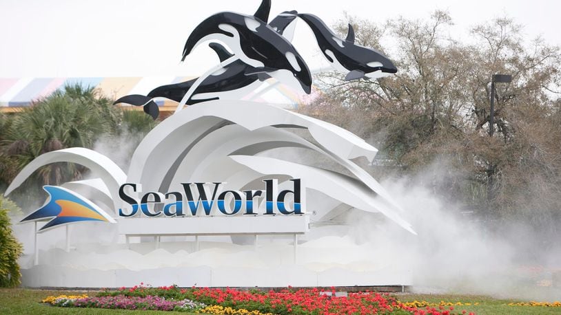 Free beer will be flowing at SeaWorld Orlando on Fridays during the summer.