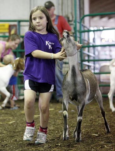 Pee Wee Goat Showmanship - Clark County Fair