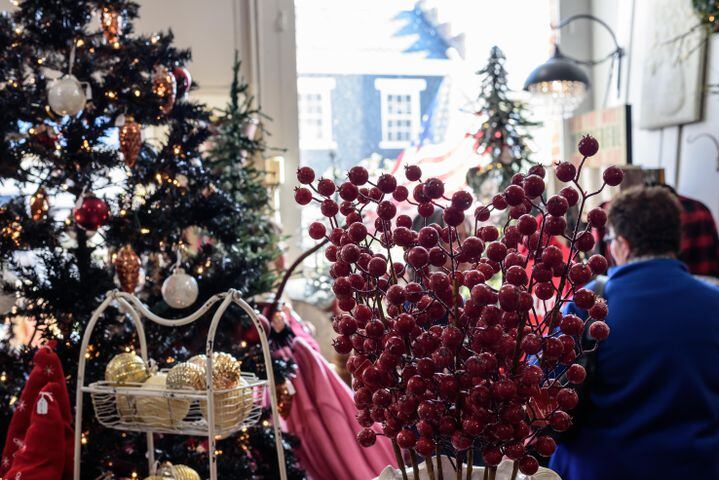 PHOTOS: Did we spot you at Hearthwarming Holidays in downtown Waynesville?