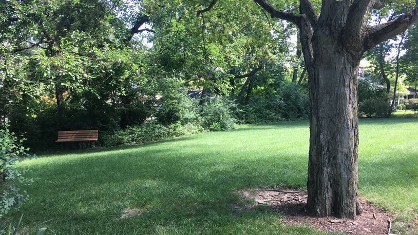 A small open space area on Schenck Avenue could be turned into a community playground later this year. July 25, 2017. TREMAYNE HOGUE
