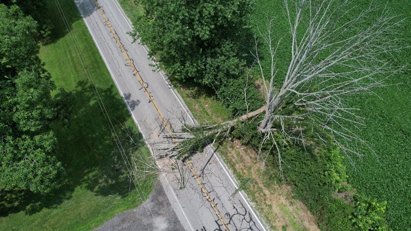 A large tree was knocked down by winds on Chicken Bristle Road nears Farmersville in Montgomery County. JIM NOELKER/STAFF