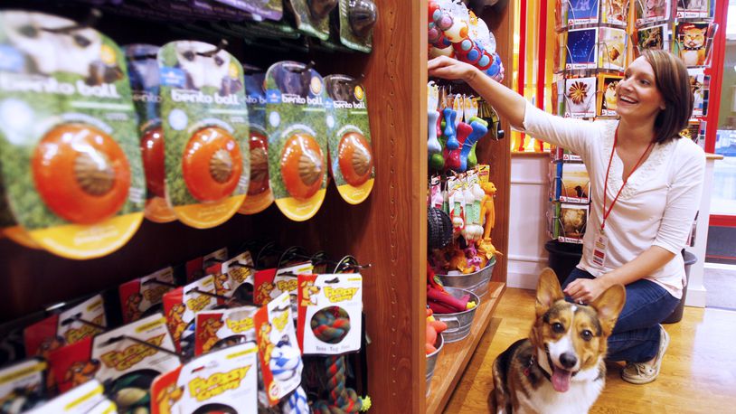 Manager Miranda Crane looks at dog toys with her Corgi Foster at specialty pet store Moochie & Co at The Greene Town Center.