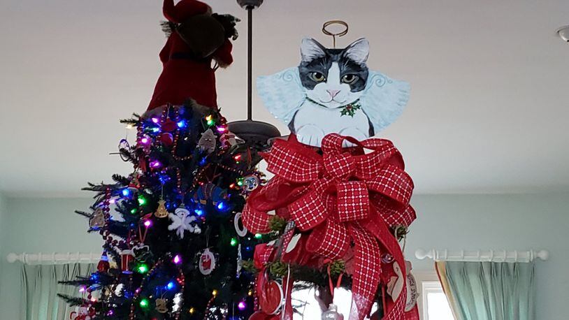 In honor of Pip’s tree climbing escapades the family had a tree topper painted. It’s atop of their rescue animal tree. The tree Pip climbs is in the background. KARIN SPICER