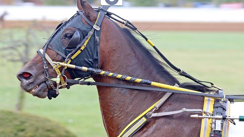 Foiled Again races at the Red Mile race track in Lexington, Ky. Photo courtesy of US Trotting Association