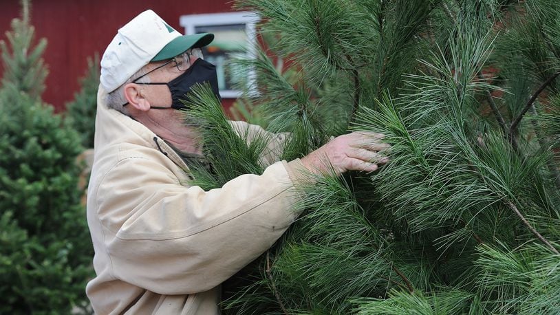 David Morris, owner of Red Barn Tree Farm in Miamisburg, looks over one of the trees that was purchased over the weedend. MARSHALL GORBY\STAFF