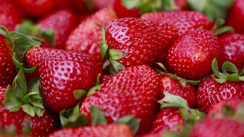 Plant City, Fla., hosts an 11-day strawberry festival every year, helping it get named the &quot;Winter Strawberry Capital of the World.&quot; (Nelvin C. Cepeda/San Diego Union-Tribune/TNS)