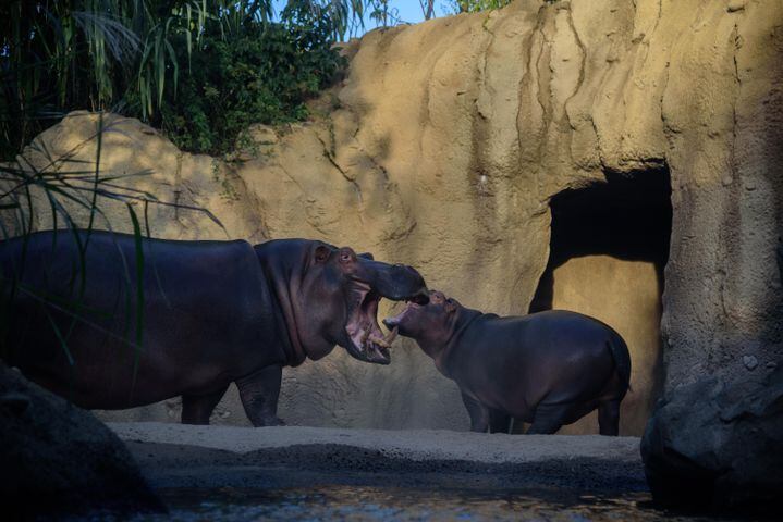 BEHIND THE SCENES: Take a look at what Fiona and Bibi are up to after hours