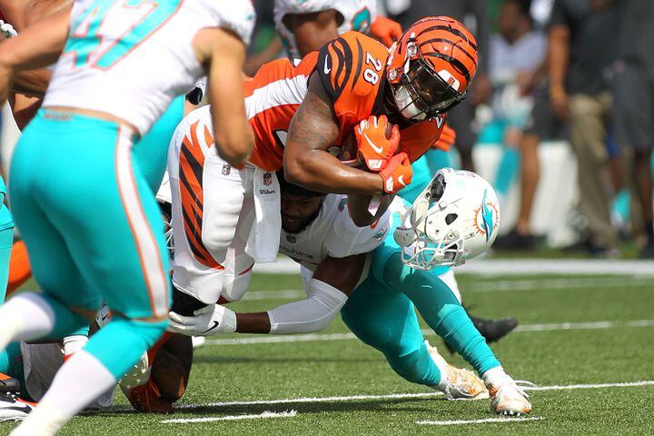 bengals dolphins gallery