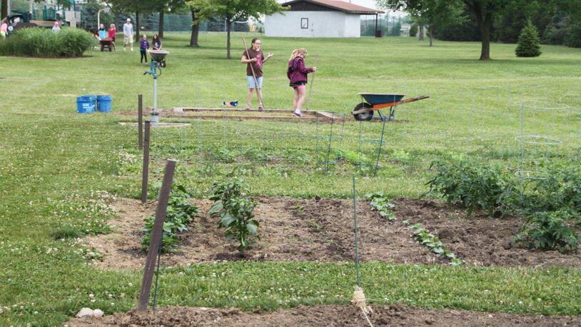 Last year’s Community Garden in Vandalia. Participants are being sought now for the 2018 program. CONTRIBUTED.