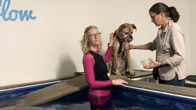 Amanda Jones is certified in small animal hydrotherapy. A handful of area businesses offer this service. STAFF/LAWRENCE BUDD