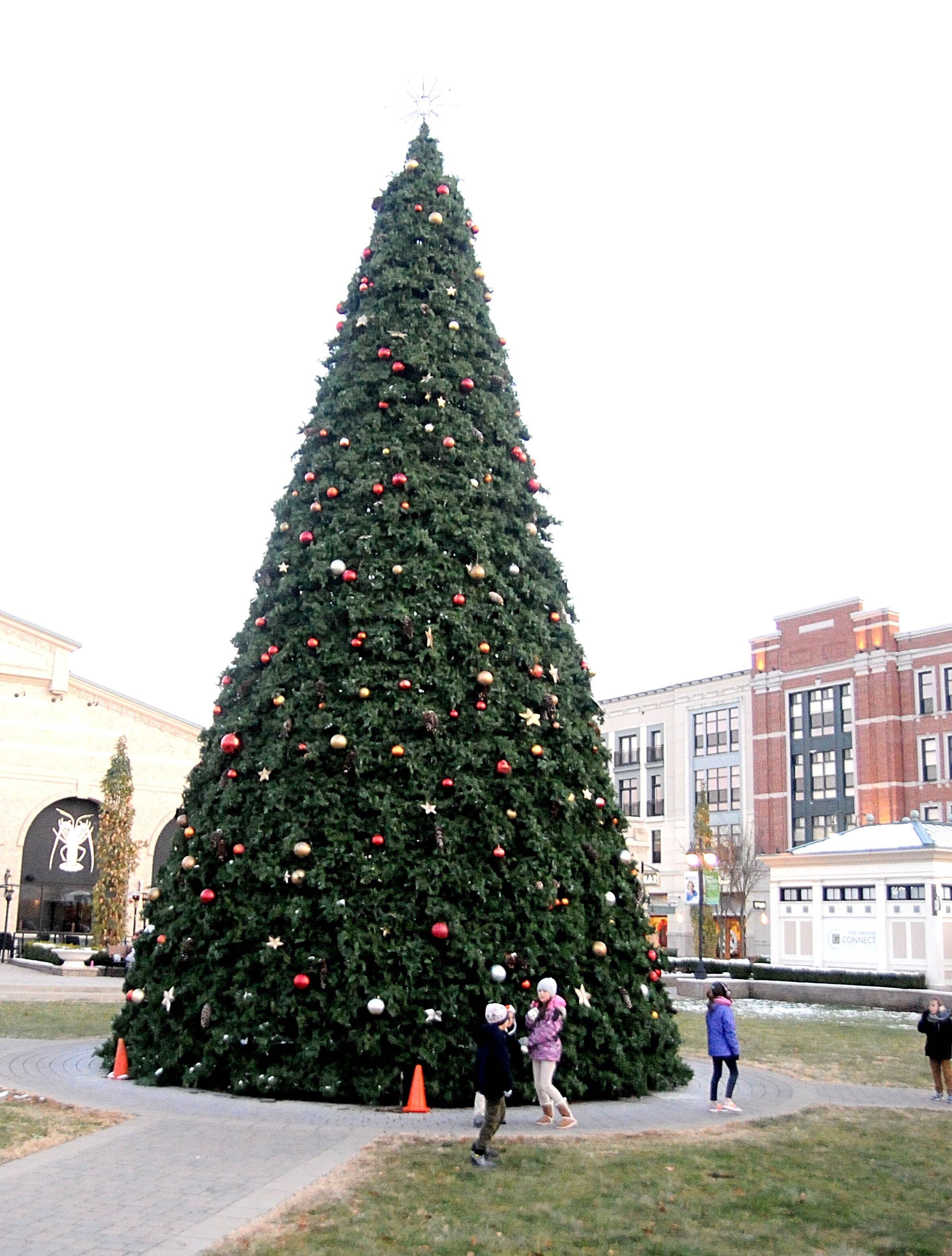 The Greene Christmas Tree Lighting 2022 Photos Of The Greene Christmas Tree Lighting 2019