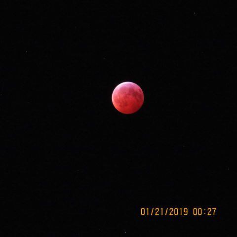 PHOTOS: Super Blood Wolf Moon over Miami Valley