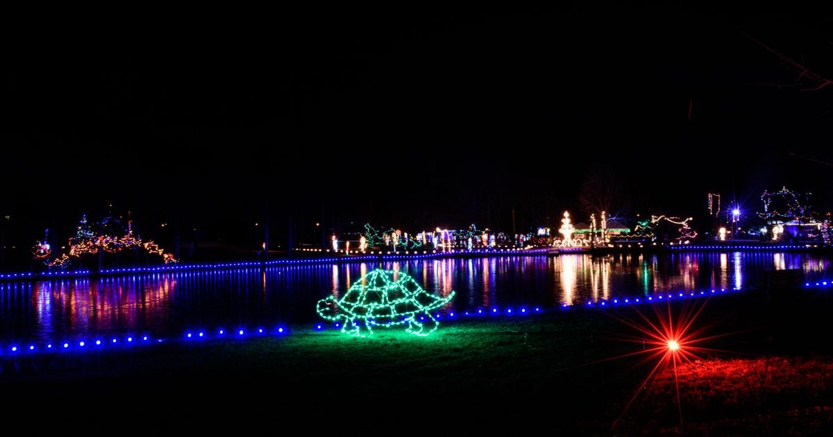 Woodland Lights Christmas Lights 2020