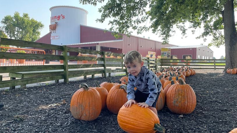 Henry Petty of Urbana plays with the pumpkins at Young’s Jersey Dairy. PHOTO BY NATALIE JONES