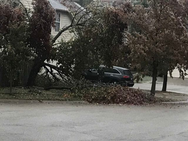 Ice causes trees down, other damage