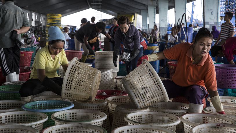 SONGKHLA, THAILAND - FEBRUARY 1: Thai workers sort fresh fish after it was unloaded from a fishing boat at the port in Songkhla on February 1, 2016. Around 100 people have been arrested by authorities in a recent crackdown on abuses involving Thailand's multi-billion dollar seafood industry. The deep-rooted problem caused the huge global brand, Nestle in 2015 to admit that it had discovered clear evidence of slavery at sea in parts of the Thai supply chain. Thailand is the world's third largest exporter of seafood. (Photo by Paula Bronstein/ Getty Images )