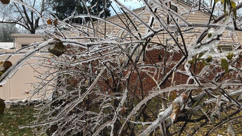 Ice coats small branches in Kettering after a storm on November 14-15 of 2018. JEREMY P. KELLEY / STAFF