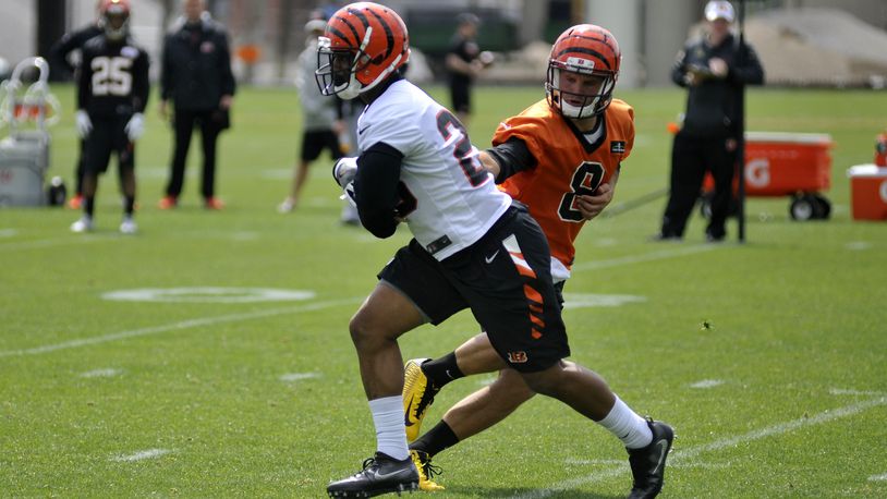 Cincinnati Bengals running back Joe Mixon takes a handoff from Tyler O’Connor during rookie camp. JAY MORRISON/STAFF