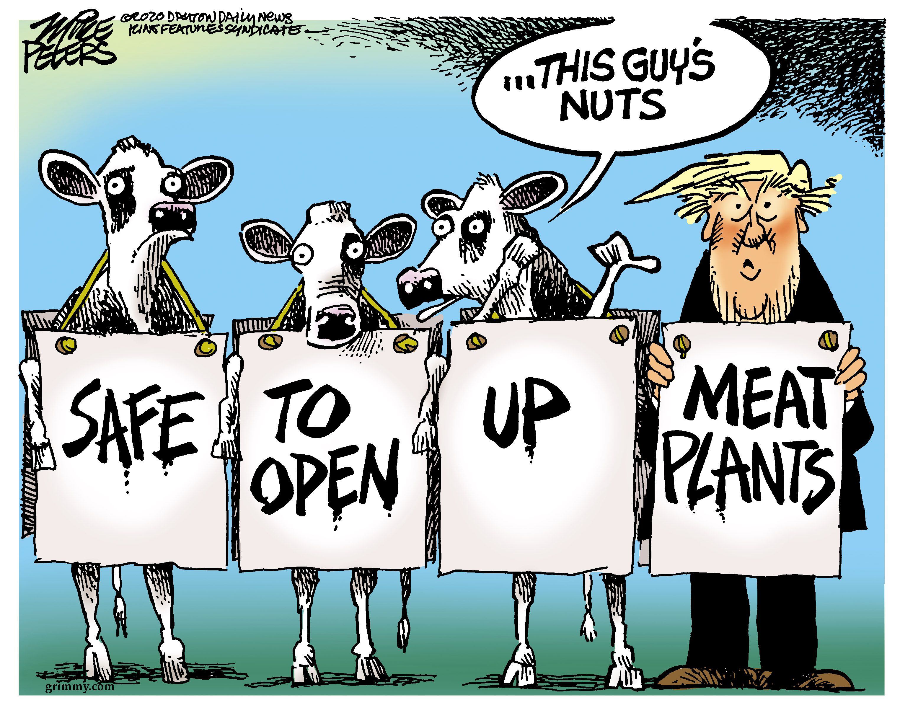 The best political cartoons by Mike Peters in 2020 The best political cartoons by Mike Peters in 2020