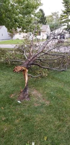 PHOTOS: Strong winds cause damage around the Miami Valley